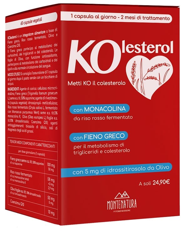Kolesterol 60 Capsule