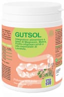 GUTSOL 100 G