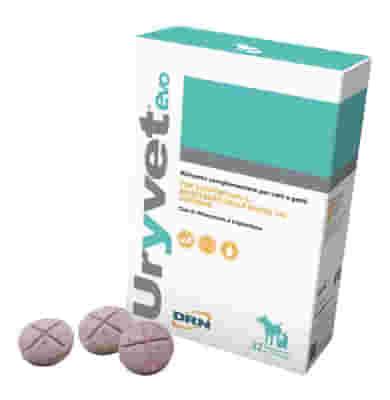 URYVET EVO 1500 32 COMPRESSE