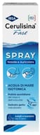 CERULISINA FAST NASO/ORECCHIO SPRAY 100 ML