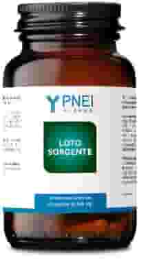 LOTO SORGENTE 60 CAPSULE 566 MG NUOVA FORMULA