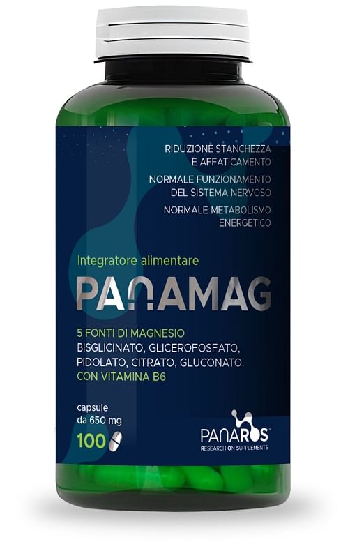 PANAMAG 100 CAPSULE 650 MG