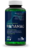 PANAMAG 100 CAPSULE 650 MG