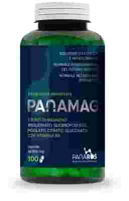 PANAMAG 100 CAPSULE 650 MG