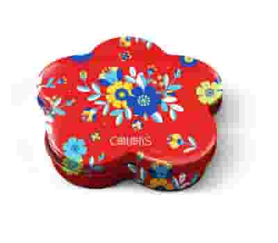 COLORS CANDELA FIORE LEGNO CEDRO 120 G
