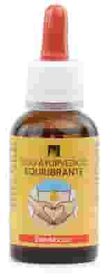 OLIO AYURVEDICO EQUILIBRANTE 30 ML