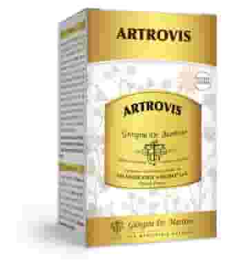 ARTROVIS POLVERE SOLUBILE 360 G