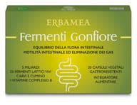 FERMENTI GONFIORE 20 CAPSULE GASTRORESISTENTI