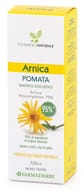 ARNICA POMATA 100 ML