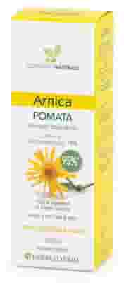 ARNICA POMATA 100 ML