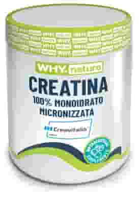 WHYSPORT CREATINA 100% MONOIDRATO MICRONIZZATA 200 G NEUTRO