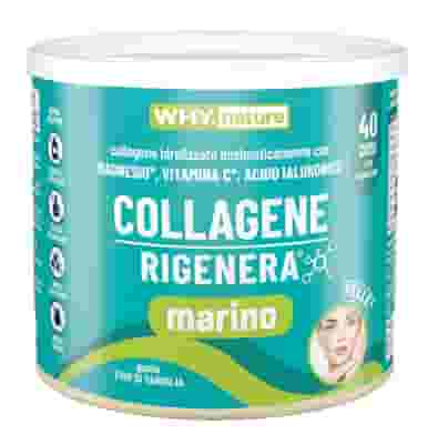 WHYNATURE COLLAGENE RIGENERA MARINO 228 G GUSTO FIOR DI VANIGLIA SENZA GLUTINE SENZA LATTOSIO SENZA ZUCCHERI CON EDULCORANTE