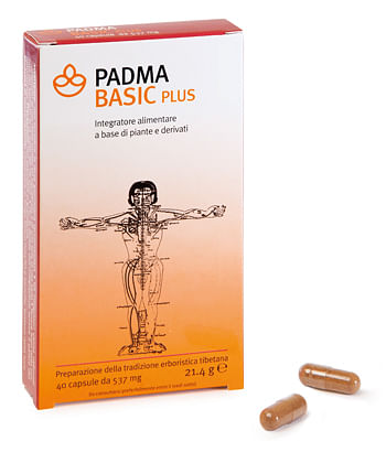 Padma Basic Plus 40 Capsule