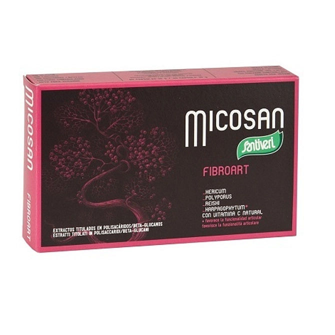Micoxan Fibroart 40 Capsule