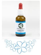 COMBINAZIONE 2 23,67 G