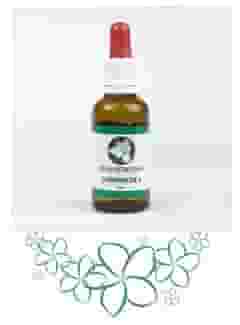 COMBINAZIONE 6 23,67 G