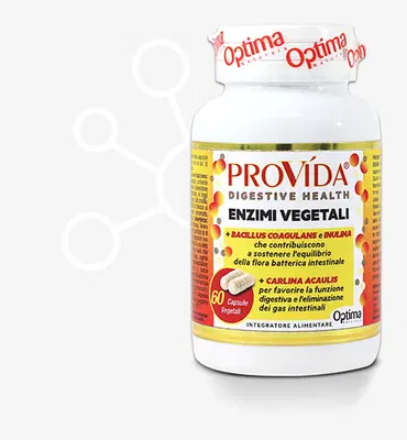 PROVIDA TRIPLA AZIONE 60 CAPSULE PROVIDA TRIPLA AZIONE 60 CAPSULE