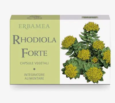 RHODIOLA FORTE 24 CAPSULE RHODIOLA FORTE 24 CAPSULE