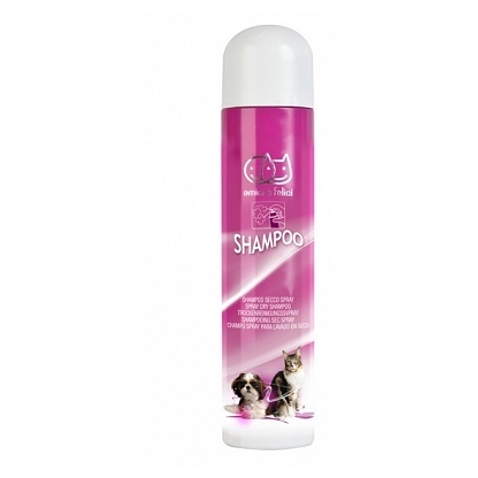Shampoo Secco Schiuma 300 Ml