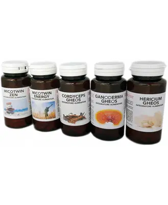 HERICIUM UP 90 CAPSULE HERICIUM UP 90 CAPSULE