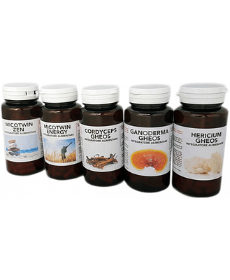 HERICIUM UP 90 CAPSULE