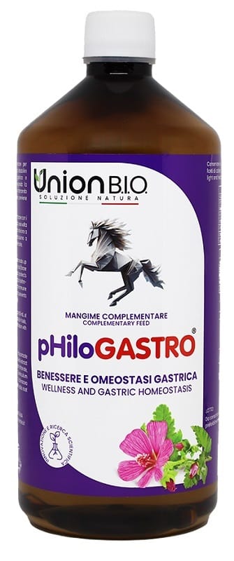 PHILOGASTRO 1 LITRO