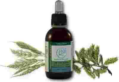 PB OSTEOVIS GOCCE 50 ML