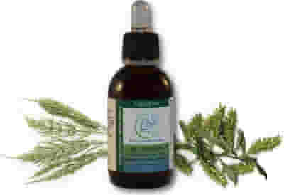 PB OSTEOVIS GOCCE 50 ML