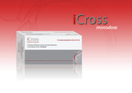 ICROSS SOLUZIONE OFTALMICA ACIDO IALURONICO CROSS-LINKATO 0,2% 15 MONODOSI DA 0,35 ML