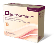 DESTROMANN 14 BUSTINE