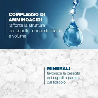 ANAPHASE + SHAMPOO 200 ML ANAPHASE + SHAMPOO 200 ML