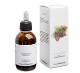ROSA CANINA GEMMODERIVATO 100 ML