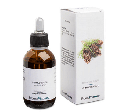 ROSA CANINA GEMMODERIVATO 100 ML