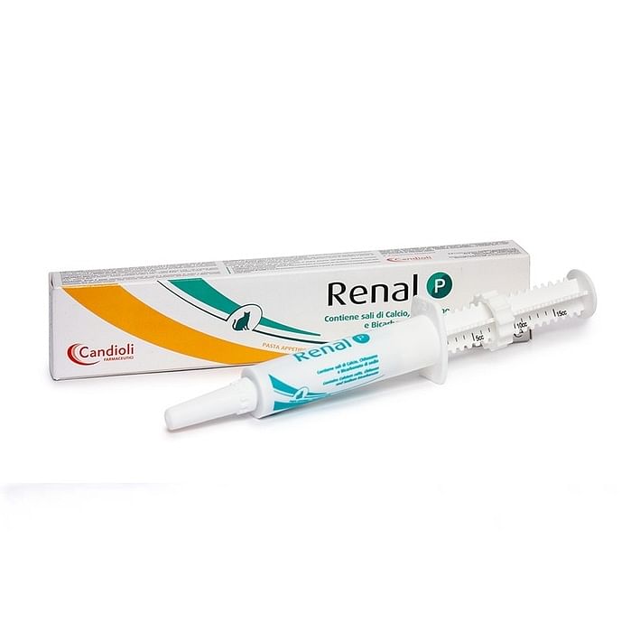 Renal P Pasta Siringa Dosatrice 15 Ml