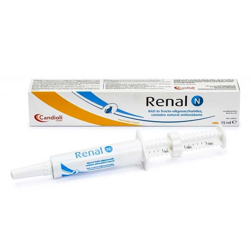 Renal N Pasta Siringa Dosatrice 15 Ml