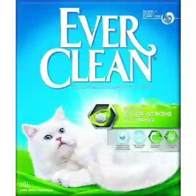 EVERCLEAN EXTRA STRONG SCENTED 6 L