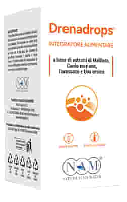DRENADROPS SOLUZIONE IDROALCOLICA 100 ML
