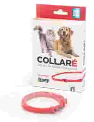 COLLARE' COLLARE PER CANI E GATTI AD AZIONE PROFUMANTE ROSSO CON OLIO DI NEEM