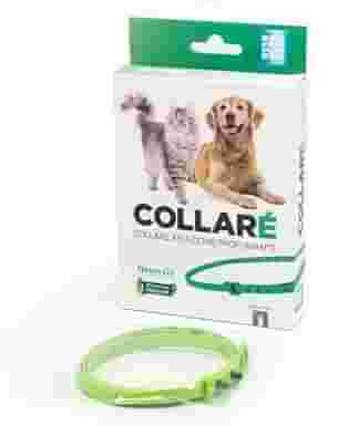COLLARE' COLLARE PER CANI E GATTI AD AZIONE PROFUMANTE VERDE CON OLIO DI NEEM