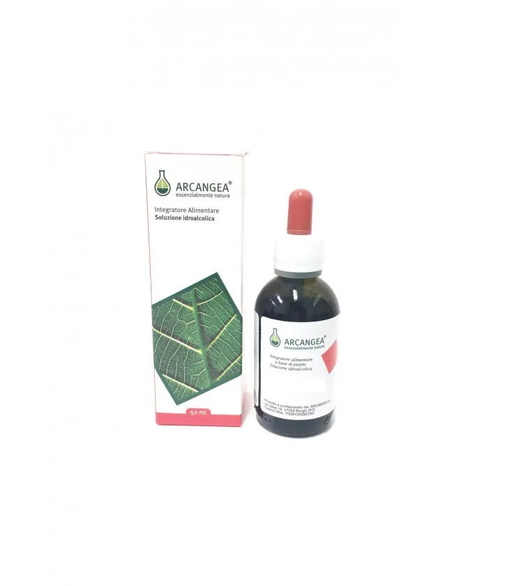 TANACETO BIOLOGICO SOLUZIONE IDROALCOLICA 50 ML