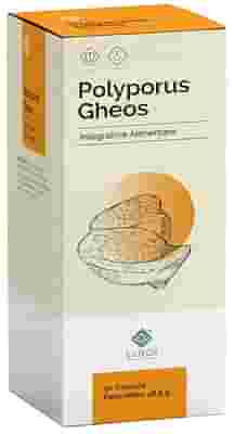 POLYPORUS GHEOS 90 CAPSULE