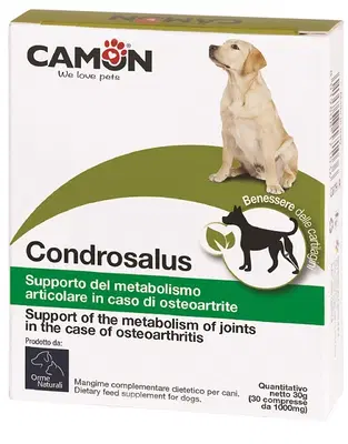 CONDROSALUS 30 COMPRESSE CONDROSALUS 30 COMPRESSE