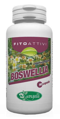 FITOATTIVI BOSWELIA 90 CAPSULE