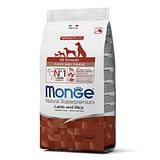 MONGE ALL BREEDS PUPPY AGNELLO & RISO 2500 G