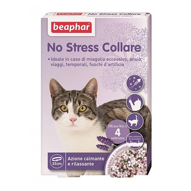 No Stress Collare Gatto