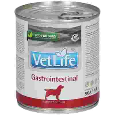 VET LIFE DOG GASTROINTESTINAL 300 G