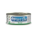 VET LIFE CAT RENAL 85 G