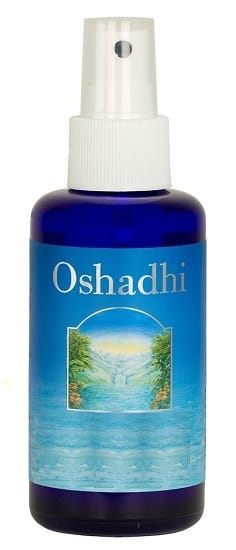 ALOE VERA GEL ALOE VERA BARBADENSIS EXTRACT GEL 100 ML