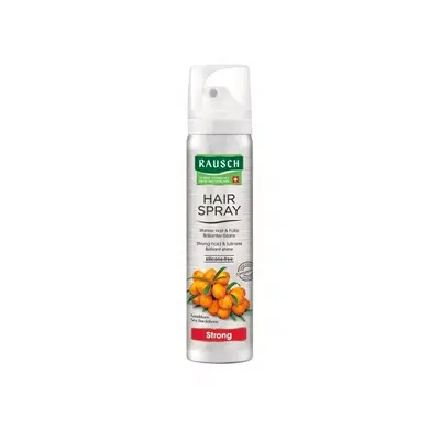 RAUSCH HAIRSPR STRONG AEROSOL RAUSCH HAIRSPR STRONG AEROSOL