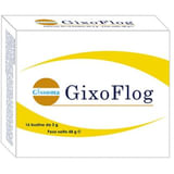 GIXOFLOG 16 BUSTINE